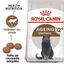 Royal Canin - Croquettes Senior Sterilised 12+ pour Chat Senior - 2 Kg Indicateur image numéro 2