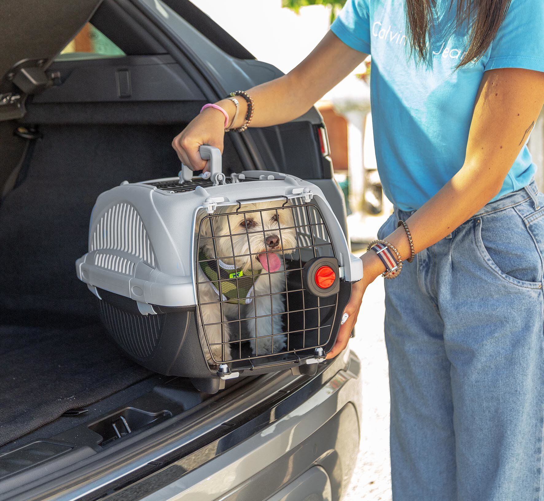 Ferplast - Panier Transport Atlas Deluxe 10 Open Image num&eacute;ro 4