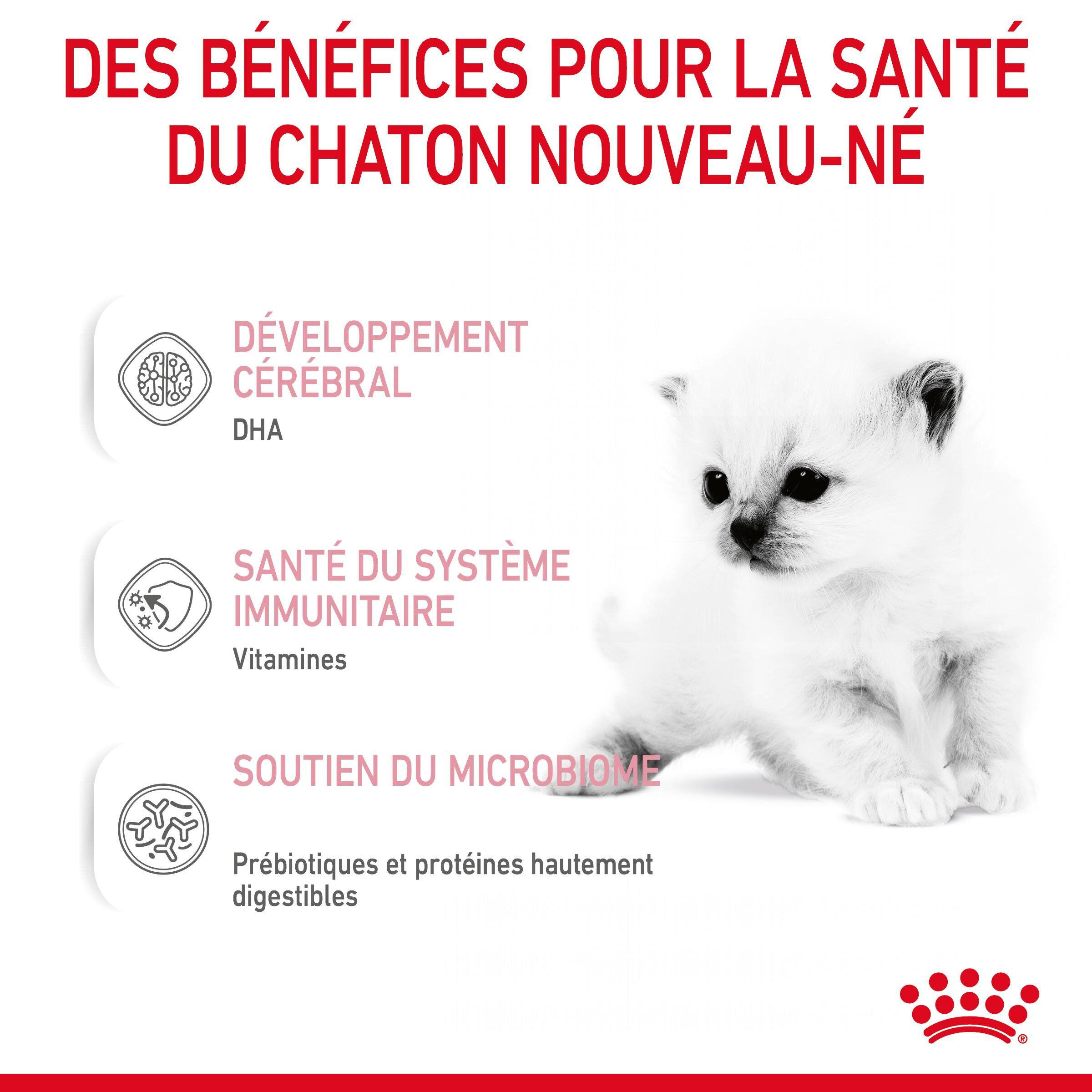 Royal Canin - Lait Baby Cat Milk pour Chaton - 300g Image num&eacute;ro 4