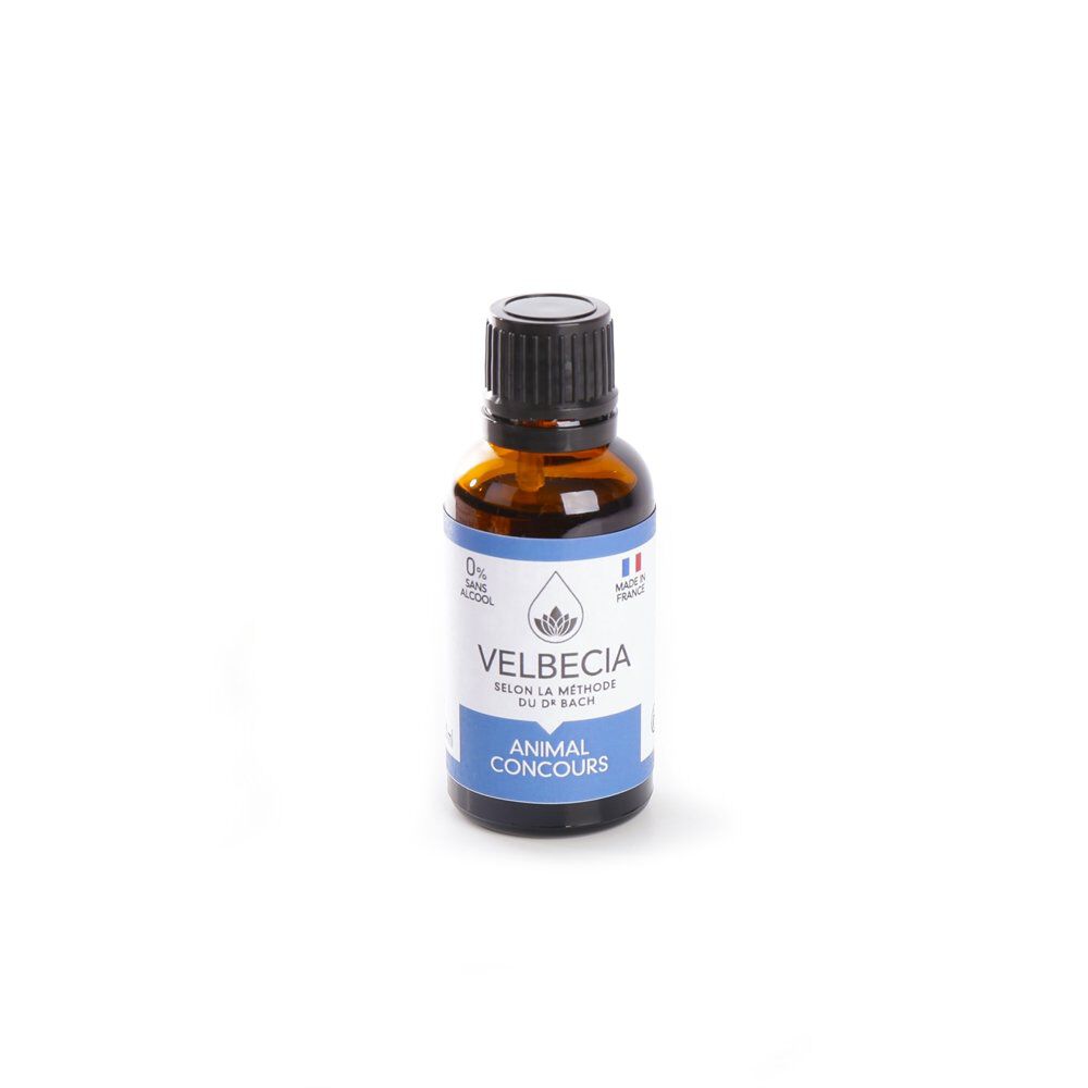 Velbecia - Fleur de Bach Comp&eacute;tition pour Chiens et Chats - 30ml Image num&eacute;ro 1