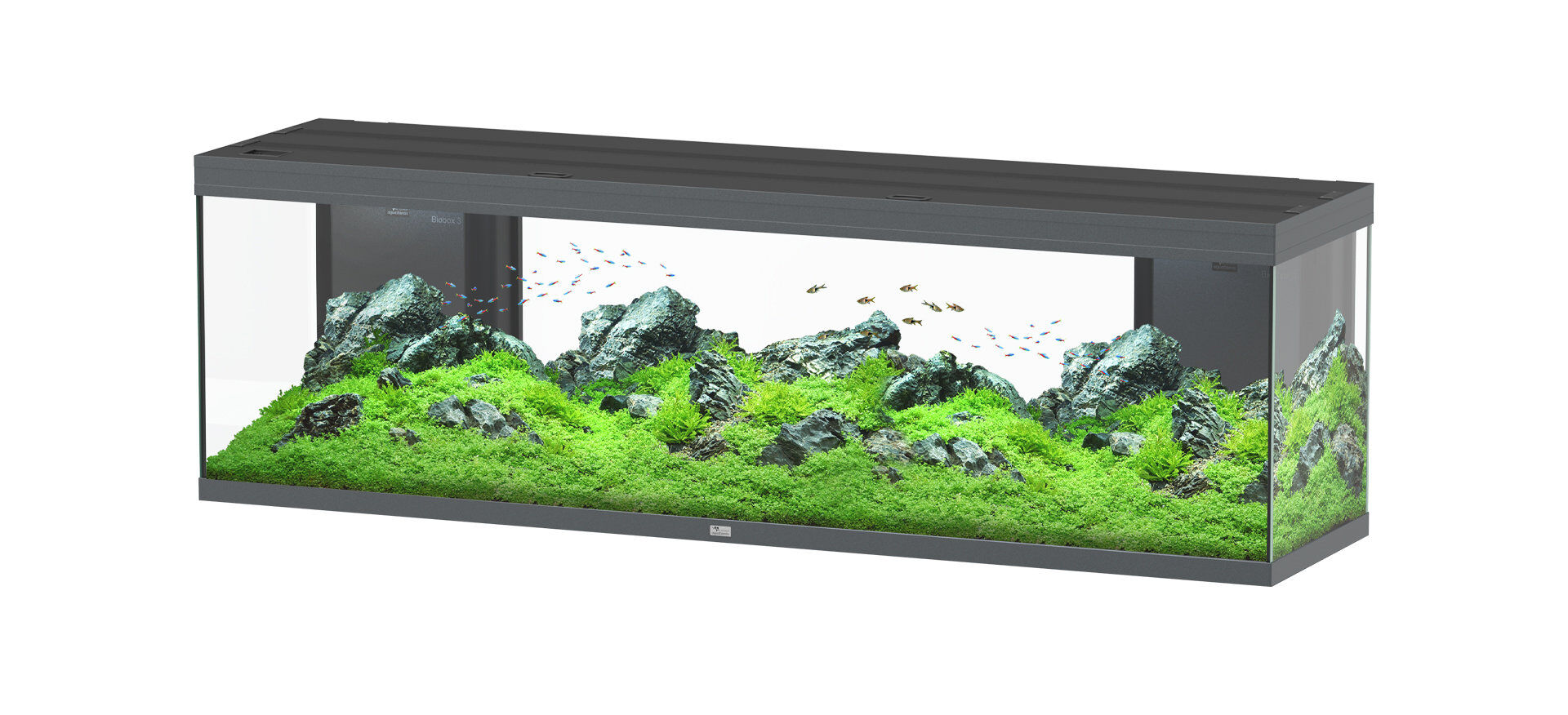 Aquatlantis -Aquarium SPLENDID 200 Led 2.0 Equip&eacute; Anthracite - 500L Image num&eacute;ro 1