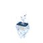 Ciano - Cartouches Water Clear & Protection - S (x2) Indicateur image numéro 2