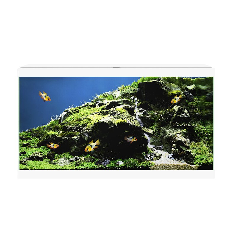 Ciano - Aquarium 60 LED - Blanc - 60X30X33,5CM Image numéro 1 Ciano - Aquarium 60 LED - Blanc - 60X30X33,5CM Image numéro 1