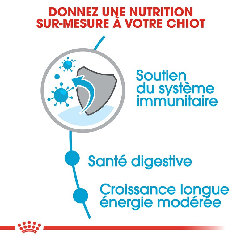 Royal Canin - Croquettes Maxi Puppy pour Chiot - 4Kg Image numéro 5 Royal Canin - Croquettes Maxi Puppy pour Chiot - 4Kg Image numéro 5