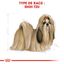 Royal Canin - Croquettes Shi Tzu pour Chien Adulte - 1,5Kg Indicateur image numéro 3
