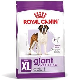 Royal Canin - Croquettes Giant Adult pour Chien - 15Kg