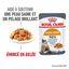 Royal Canin - Sachets Hair&Skin Gelée pour Chat - 12x85g Indicateur image numéro 1