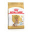 Royal Canin - Croquettes Yorkshire Terrier Adult 8+ pour Chiens Seniors - 1,5Kg Indicateur image numéro 6