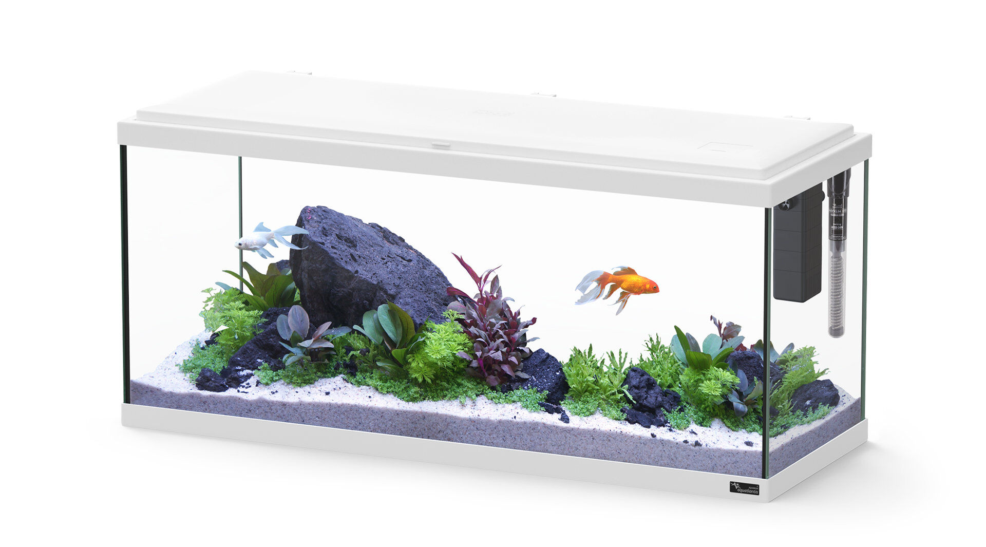 Aquatlantis - Aquarium Explorer Amsterdam 80 Equip&eacute; - Blanc Image num&eacute;ro 1