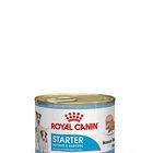 Royal Canin - Boîte Starter Mousse Mother & Babydog en Patée pour Chien - 195g image number null