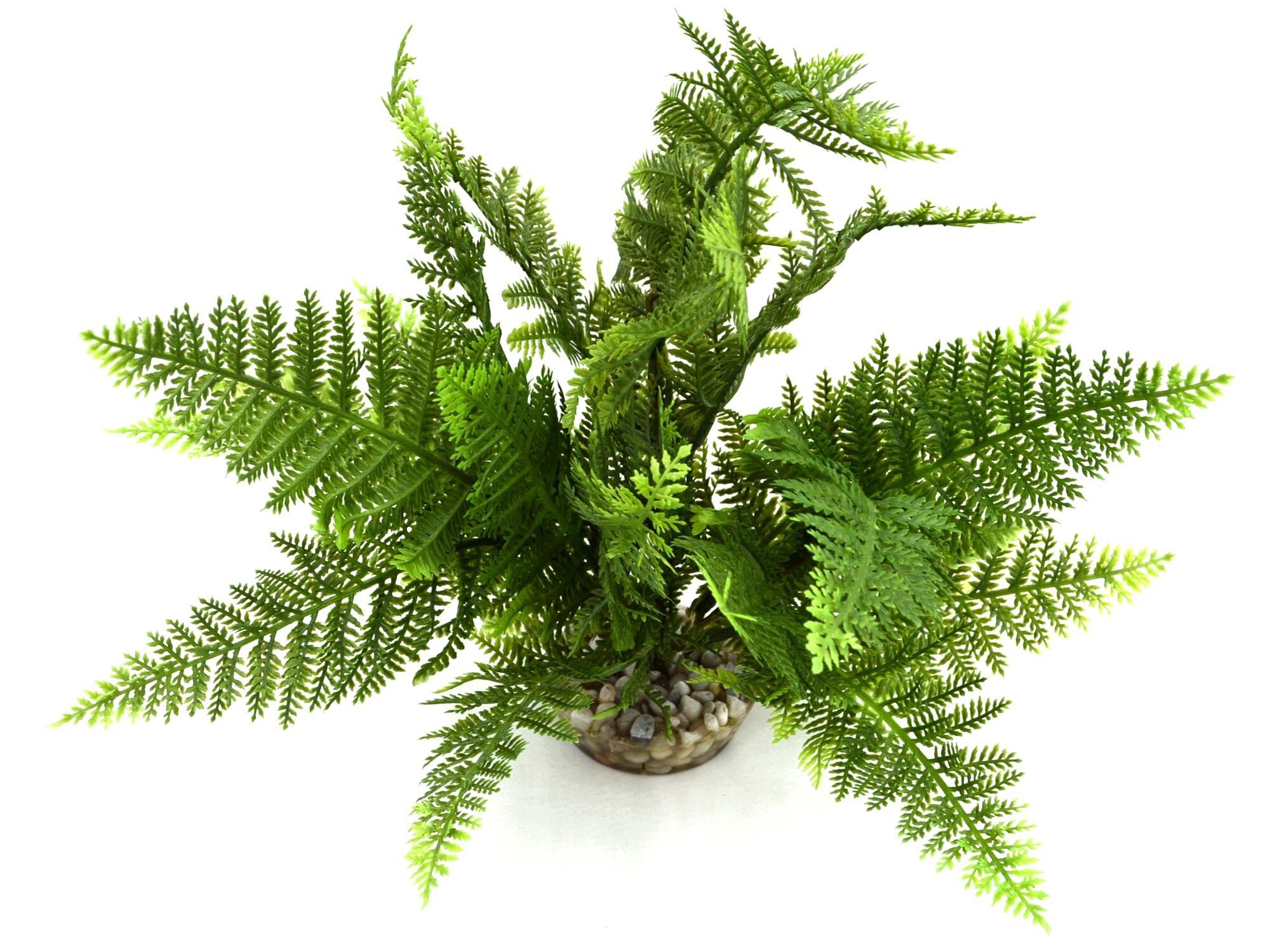 Labeo - D&eacute;coration Plante Artificielle Foug&egrave;re pour Aquarium Image num&eacute;ro 1