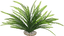 Labeo - Fond de décor - Plante Artificielle Aquarium Indicateur image numéro 2