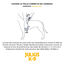 Julius K9 - Harnais Power Rouge pour Chien - S 58/76cm Indicateur image numéro 3