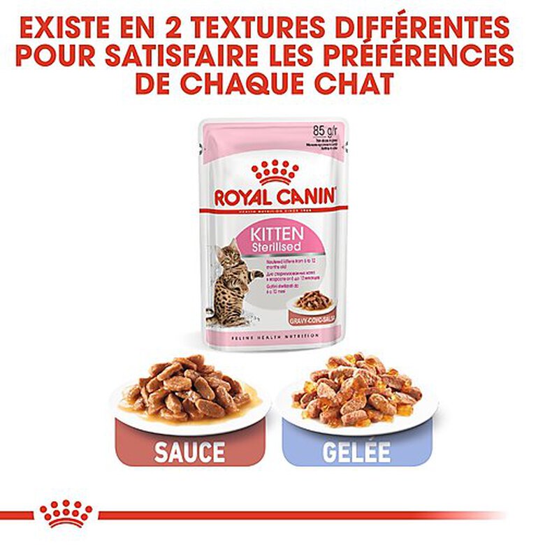 Royal Canin - Sachets Kitten Sterilised en Sauce pour Chaton - 12x85g image number null