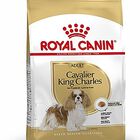 Royal Canin - Croquettes Cavalier King Charles pour Chien Adulte image number null