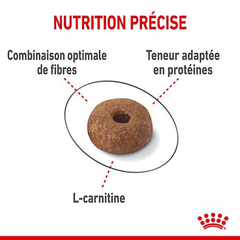 Royal Canin - Croquettes Light Weight Care pour Chat - 400g image number null