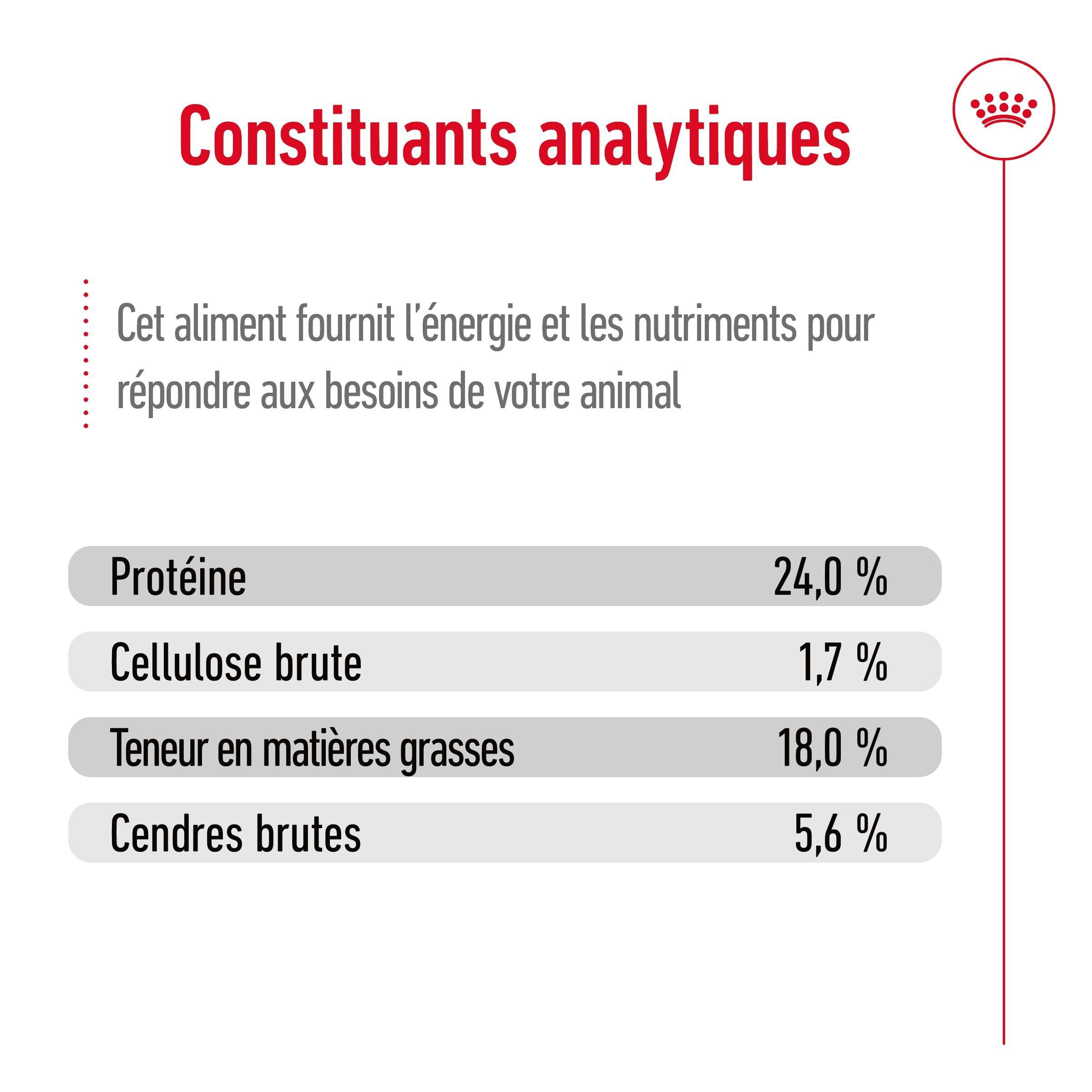 Royal Canin - Croquettes X SMALL ADULT 8+ pour chiens - 1,5KG Image num&eacute;ro 5