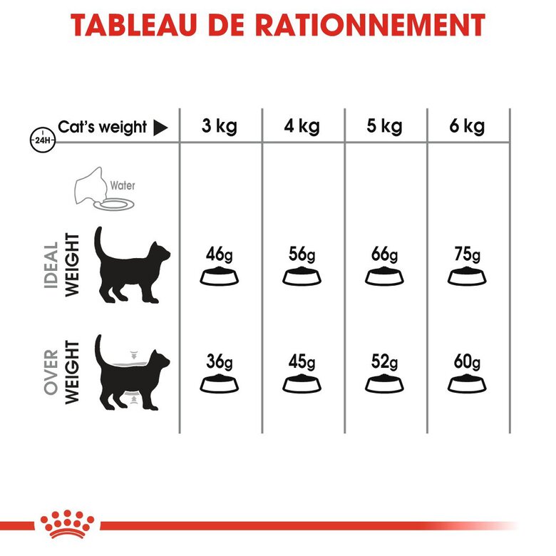 Royal Canin - Croquettes Dental Sensitive Care pour Chat - 1,5Kg Image numéro 5 Royal Canin - Croquettes Dental Sensitive Care pour Chat - 1,5Kg Image numéro 5