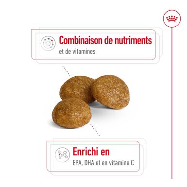 Royal Canin - Croquettes X-SMALL ADULT 8+ pour chiens - 3KG