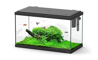 Aquatlantis - Aquarium Explorer Paris 60 - Noir Equipé