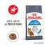 Royal Canin - Croquettes Light Weight Care pour Chat - 8Kg Indicateur image numéro 2
