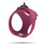 Curli - Harnais Veste Boucle Curli Clasp Ruby pour Chien - XXXS Indicateur image numéro 2