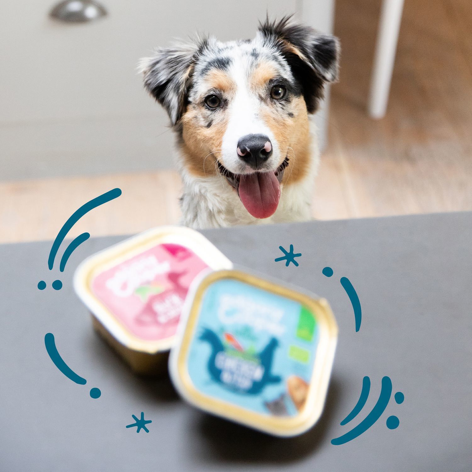 Edgard & Cooper - Barquette BIO au Poulet et Poisson pour Chiot - 100g Image num&eacute;ro 3