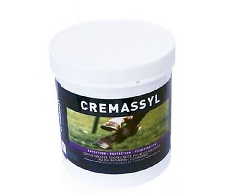 Greenpex - Crème Cremassyl Protectrice pour Chevaux et Poneys - 1L Image numéro 1 Greenpex - Crème Cremassyl Protectrice pour Chevaux et Poneys - 1L Image numéro 1