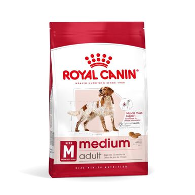 Royal Canin - Croquettes Medium Adult pour Chien de Taille Moyenne