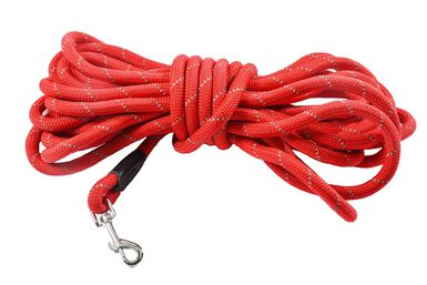 Bobby - Longe Walk Rouge pour Chiens