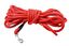 Bobby - Longe Walk Rouge pour Chiens - 10m Indicateur image numéro 1
