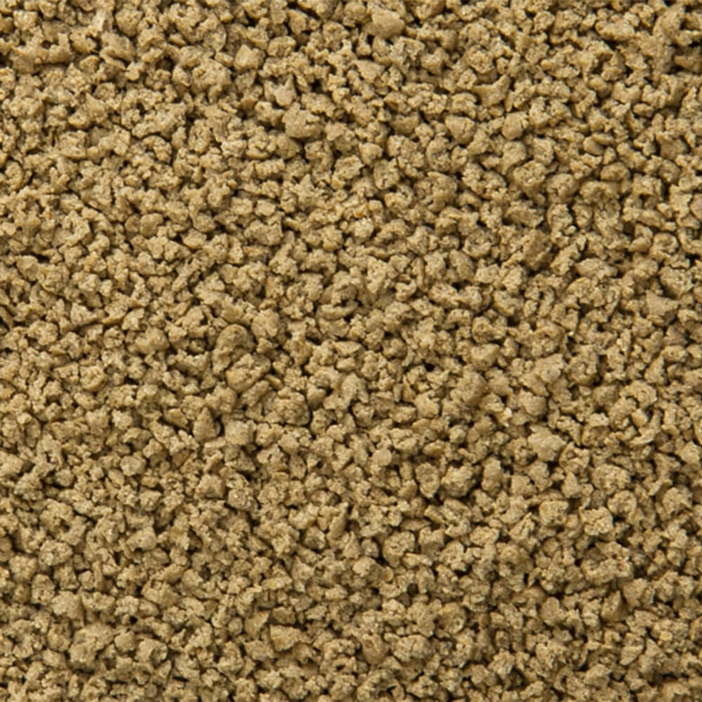 Sera - Aliments Spécial Élevage ImmunPro pour Poissons - 250ml Image numéro 2 Sera - Aliments Spécial Élevage ImmunPro pour Poissons - 250ml Image numéro 2