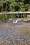 Pontec - Pompe Jeux d'Eau PondoVario 2500 pour Bassin - 2500l/h Indicateur image num&eacute;ro 5