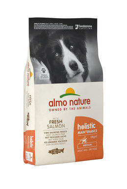 Almo Nature - Holistic Adulte Moyenne Race Saumon Frais