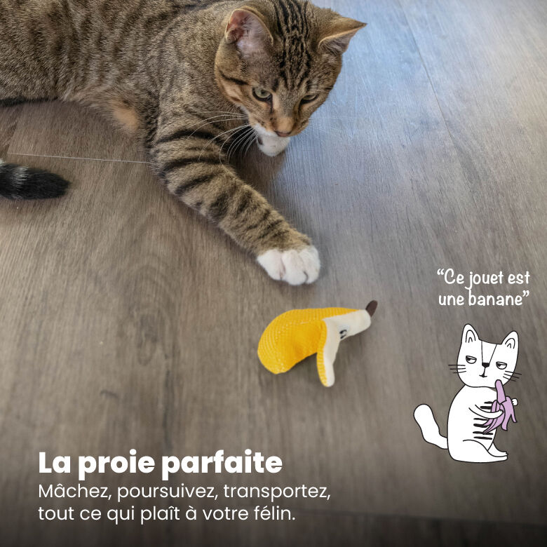 Outward Hound - Jouet &agrave; M&acirc;cher Dental Banana pour Chat - Jaune Image num&eacute;ro 6