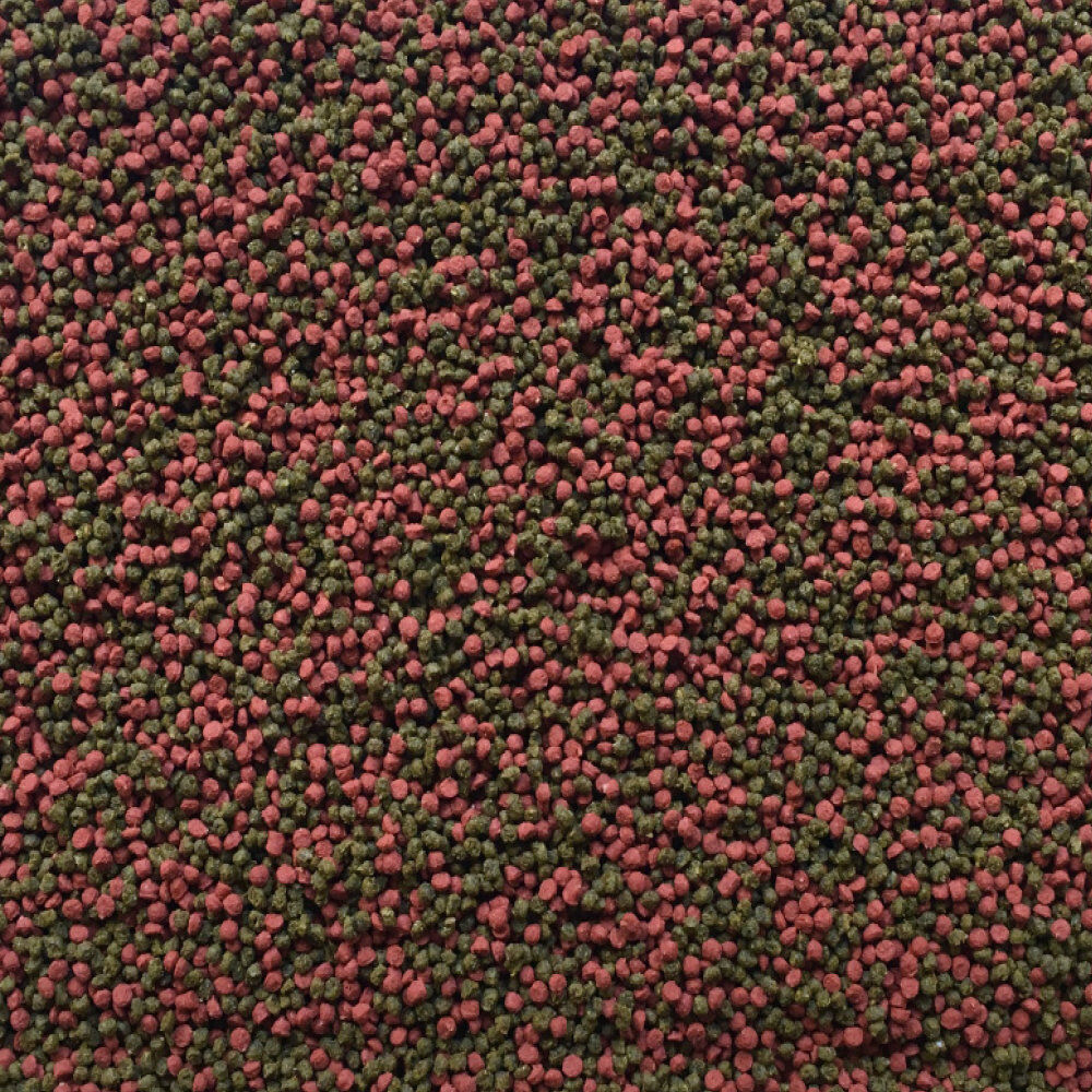 Amtra - Aliment Pro Gran Micro 0.5 -100 ml Image num&eacute;ro 2