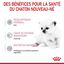 Royal Canin - Lait Baby Cat Milk pour Chaton - 300g Indicateur image numéro 4