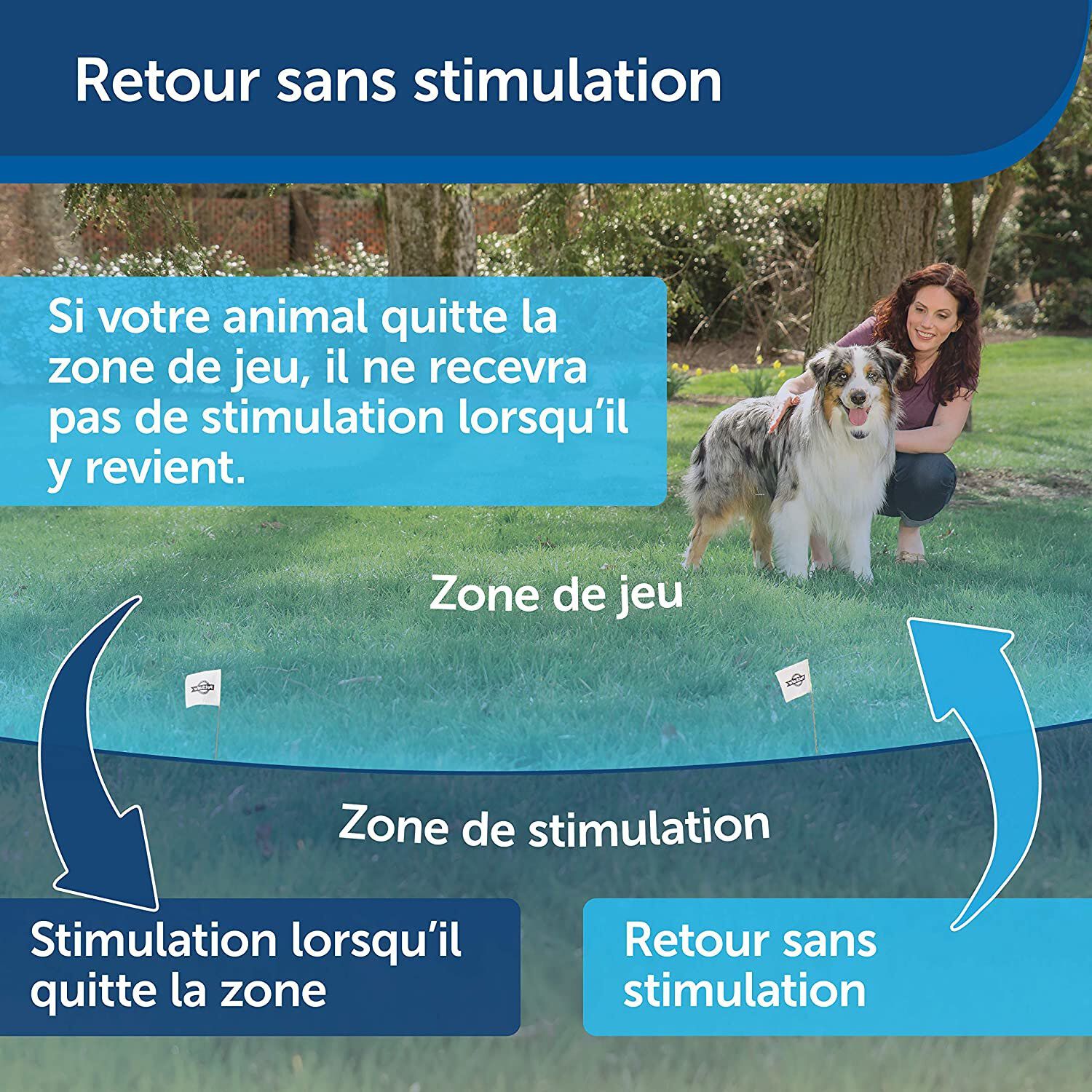 Petsafe - Collier Suppl&eacute;mentaire Anti Fugue pour Cl&ocirc;ture Anti Fugue Sans Fil Stay+Play pour Chiens Image num&eacute;ro 6