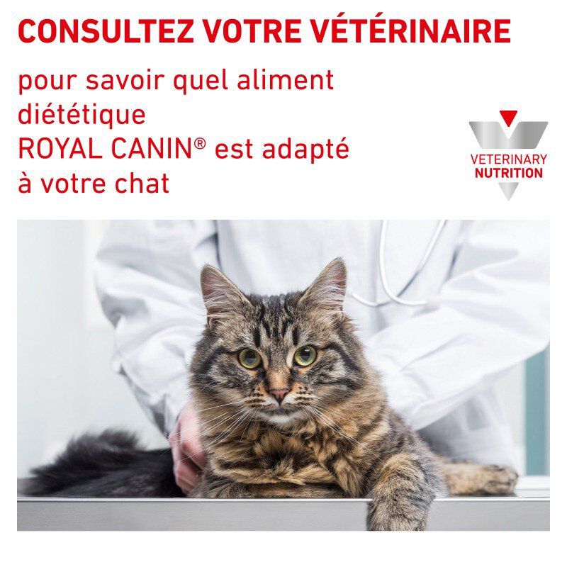 Royal Canin - Croquettes Veterinary Diet Urinary S/O Moderate Calorie pour Chat - 1,5Kg Image num&eacute;ro 3