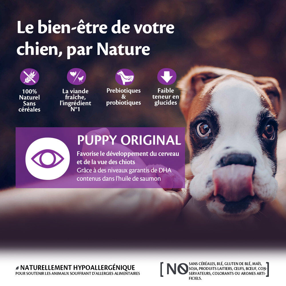 Wellness CORE - Croquettes Puppy Dinde et Poulet pour Chiot - 1,5Kg Image num&eacute;ro 2