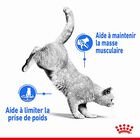 Royal Canin - Croquettes Light Weight Care pour Chat - 400g image number null