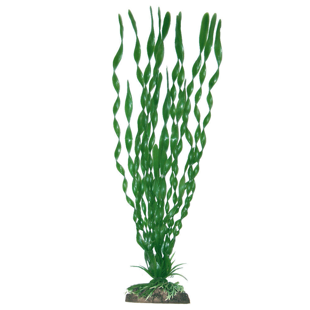 Amtra - D&eacute;coration Plante Classic Valisneria Major - XL Image num&eacute;ro 1