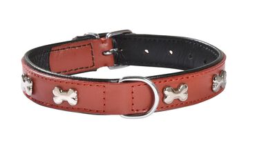 Bobby - Collier Happy Rose pour Chiens