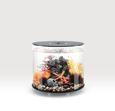 biOrb - Aquarium Tube 35 mcr noir
