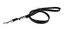 Animalis - Laisse Multiposition Basic 20mm et 200cm pour Chien - Noir Indicateur image numéro 1