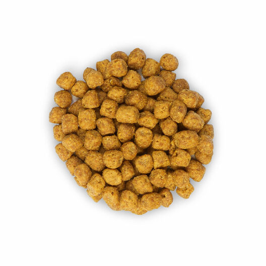 Hill's Science Plan - Croquettes Sterilised Mature 7+ Poulet pour Chat - 1,5Kg image number null