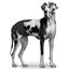 Duvoplus - Culotte Hygi&eacute;nique Noir pour Chien - XL Indicateur image num&eacute;ro 2