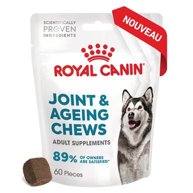 Royal Canin - Aliment complémentaire Adult Joint & Agieing Chews pour Chiens - 240g