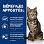 Hill's - Croquettes Prescription Diet Metabolic pour Chats - 3Kg Indicateur image numéro 4