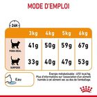 Royal Canin - Croquettes Hair & Skin Care pour Chat - 400g image number null